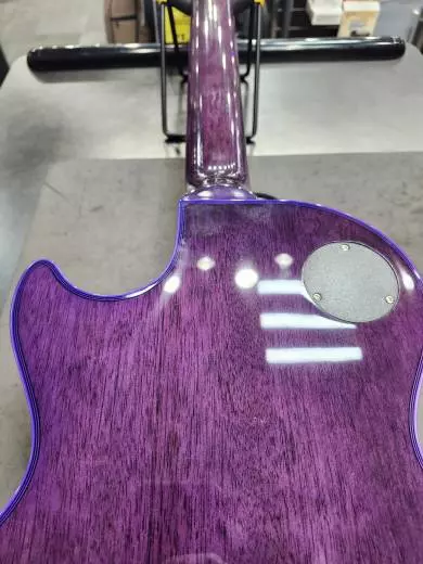 Epiphone - EILPCWPBNH 2